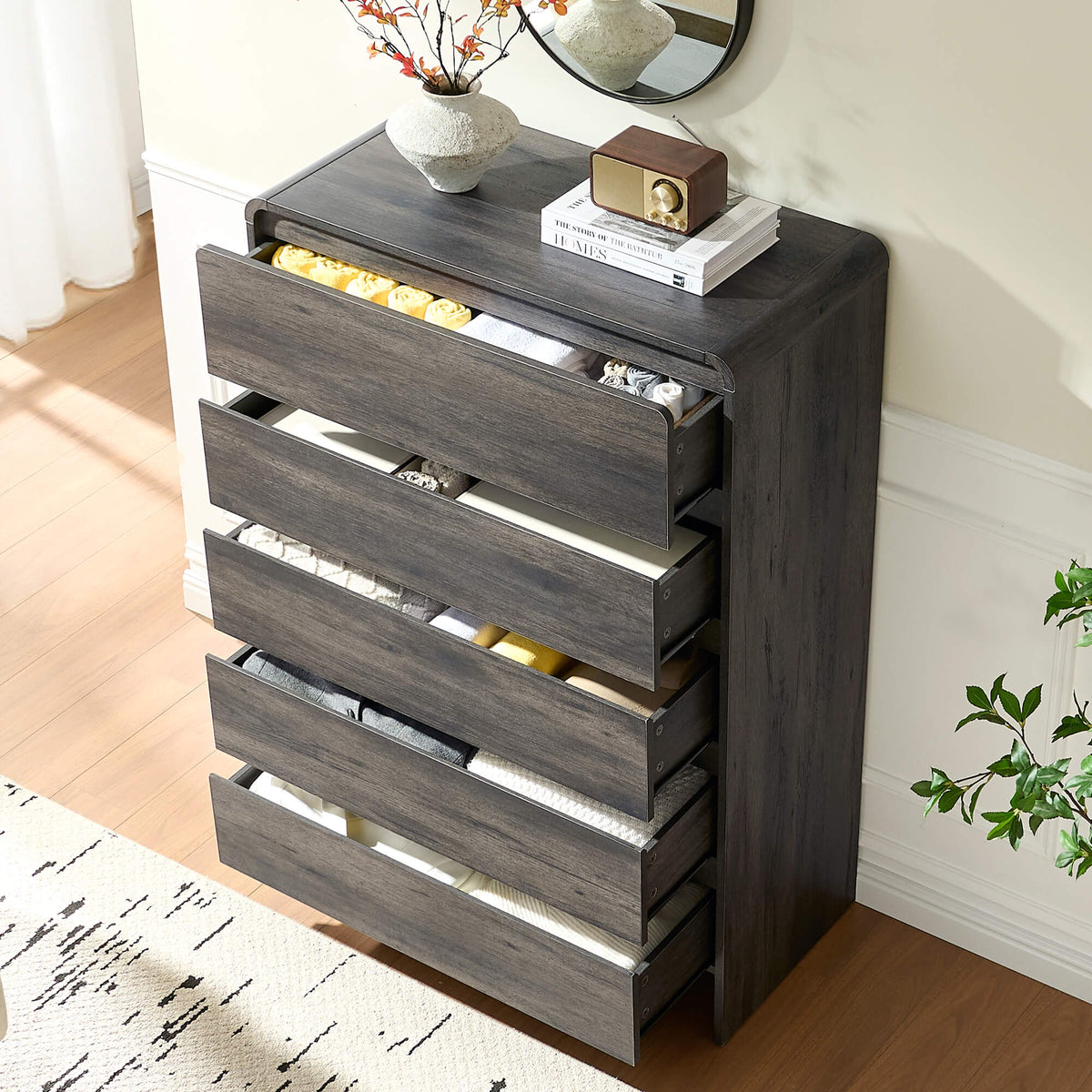 Garyon Modern 5-Drawer Storage Dresser _Black