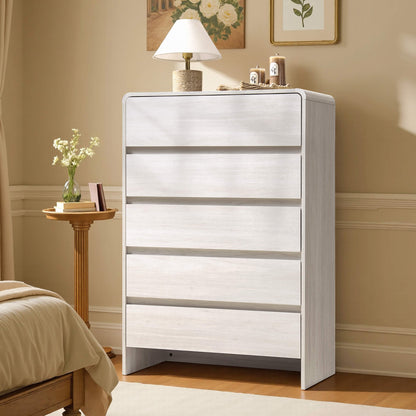 Garyon Modern 5-Drawer Storage Dresser _White