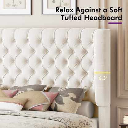 Plush Curved Wingback Bed Frame  - CK Bed Beige