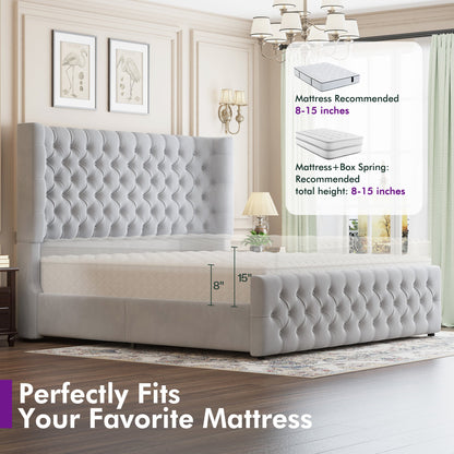 Plush Curved Wingback Bed Frame  - CK Bed Light Gray