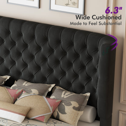 Plush Curved Wingback Bed Frame  - King Bed Black