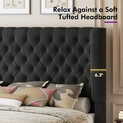 Plush Curved Wingback Bed Frame  - King Bed Black