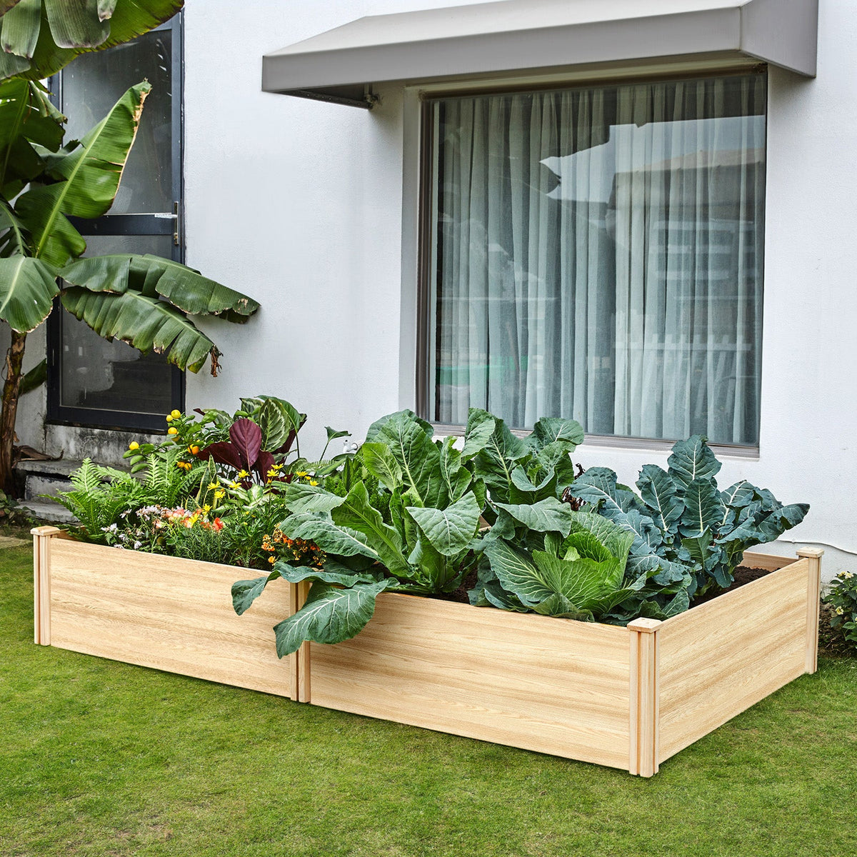 Tenon Fir Wood Raised Garden Bed-8 x 4 x 1.25 FT
